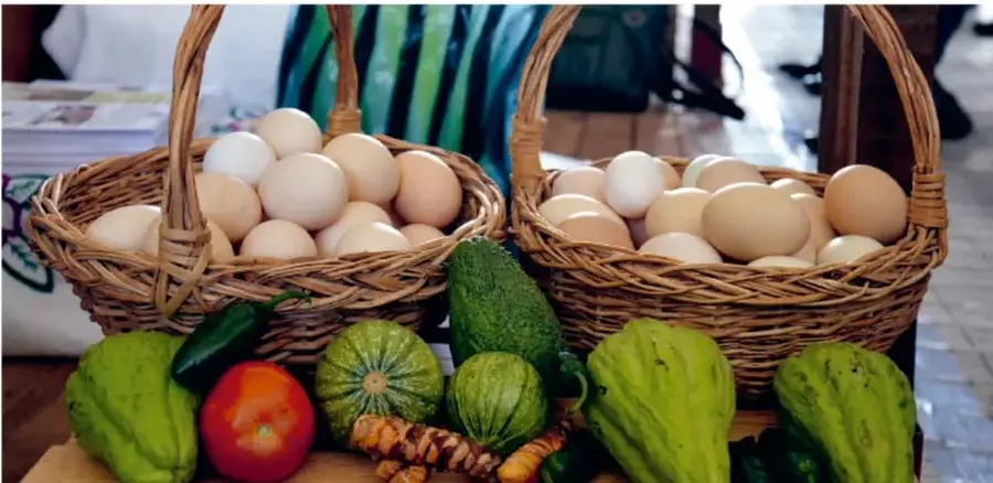 Fotografía de dos canastas de raja llenas de huevos blancos y café, con calabazas verdes (chayote), un jitomate rojo, chiles y trozos de caña o jengibre sobre una mesa de mercado.