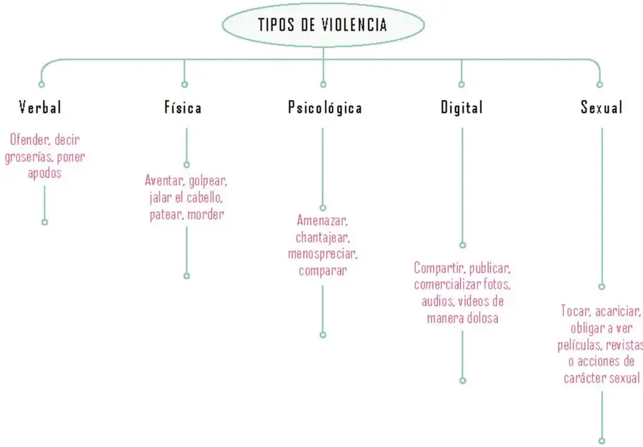 Organizador gráfico con el título 'Tipos de violencia' y cinco ramas (verbal, física, psicológica, digital, sexual), cada una con ejemplos escritos en rosa.
