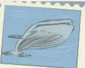 Pequeña ilustración de una ballena o criatura marina dentro de un recuadro azul.