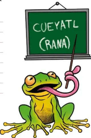 Rana verde con lentes que señala un pizarrón donde está escrito CUEYATL (RANA), ejemplo de palabra en náhuatl.