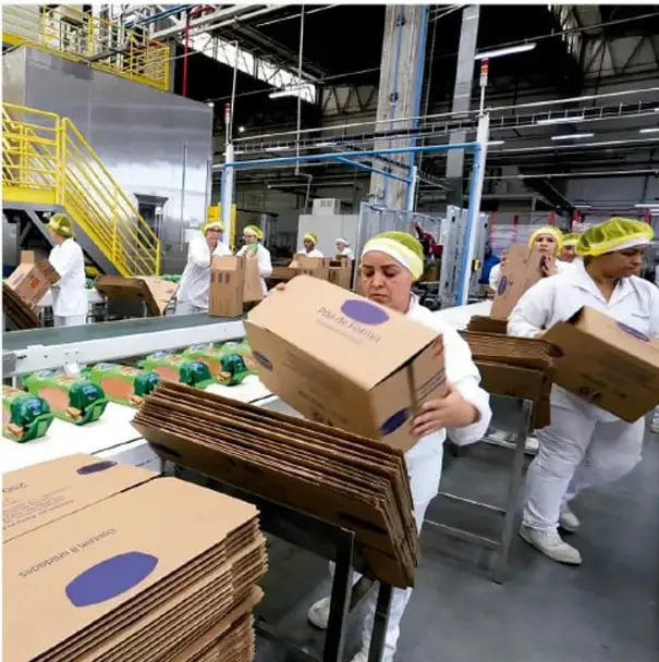 Fotografía de una planta industrial: operarios con uniforme blanco y cofia empujan cajas de cartón en una línea de producción; hay cajas apiladas y estructura metálica amarilla al fondo.