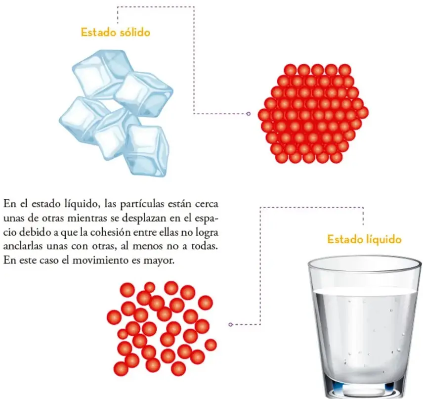 Cubos de hielo que representan el estado sólido, conectados con líneas punteadas a un esquema de partículas rojas muy juntas y ordenadas.