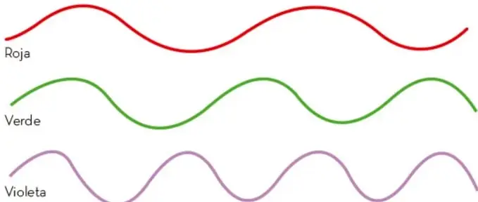 Esquema del espectro electromagnético con ondas de diferentes longitudes, íconos de referencia (humanos, moscas, agujas, bacterias, moléculas, átomos, núcleo atómico) y barras de frecuencia.