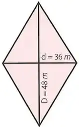 Rombo con diagonales de 36 m y 48 m.