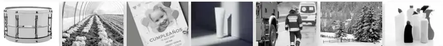Ilustración en blanco y negro de dos árboles sin hojas, decorativa.