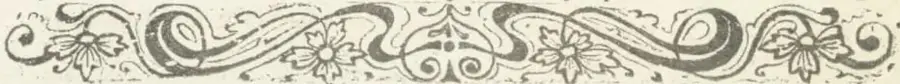 Ornamento tipográfico con roleos y motivos florales que cierra la hoja.