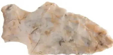 Punta cola de pescado de piedra, con forma triangular redondeada.