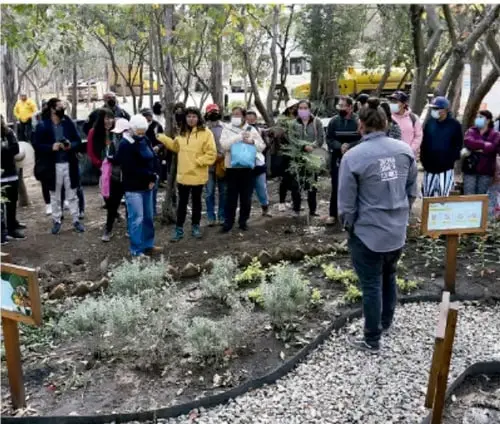 Personas reunidas en un huerto comunitario, observando plantas y carteles informativos.