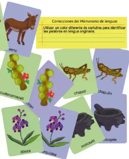 Tabla del glosario ilustrado con dibujos de plantas medicinales (ajenjo, enebro azul, romero) y sus usos.