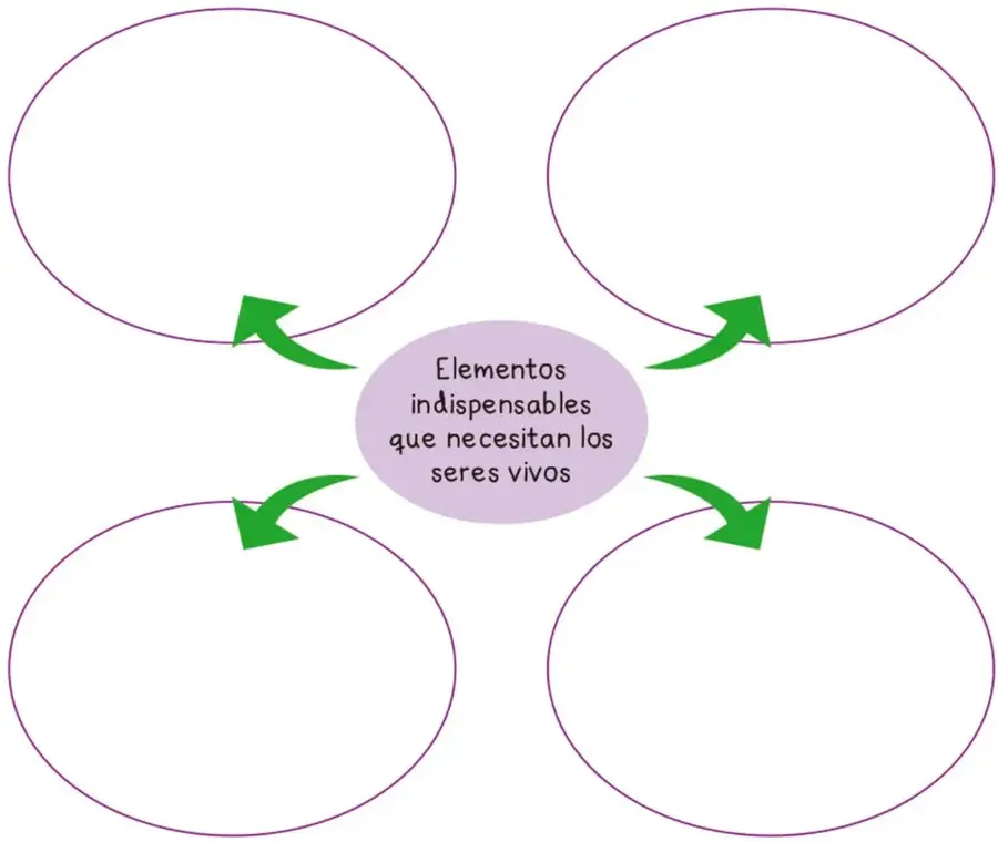 Esquema con un óvalo central morado que dice 'Elementos indispensables que necesitan los seres vivos' y cuatro óvalos vacíos conectados por flechas verdes, para que el estudiante escriba o dibuje los elementos.