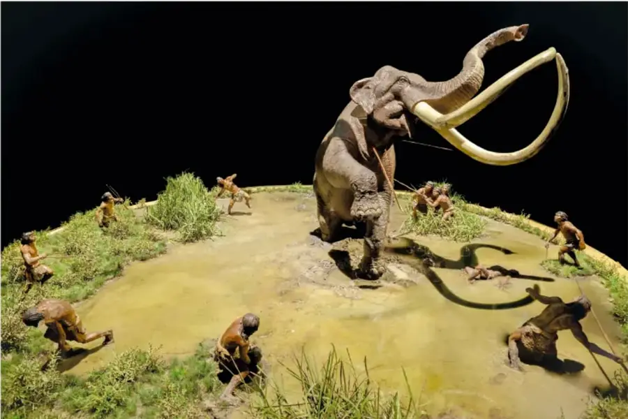 Fotografía de un diorama de museo: un mamut de colmillos grandes rodeado por varios cazadores con lanzas, sobre un terreno de hierba y lodo, con fondo negro.