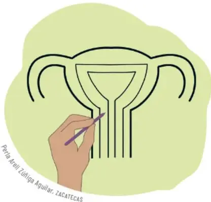 Mano remarcando con plumón morado el contorno del esquema del aparato reproductor femenino en el cartón.