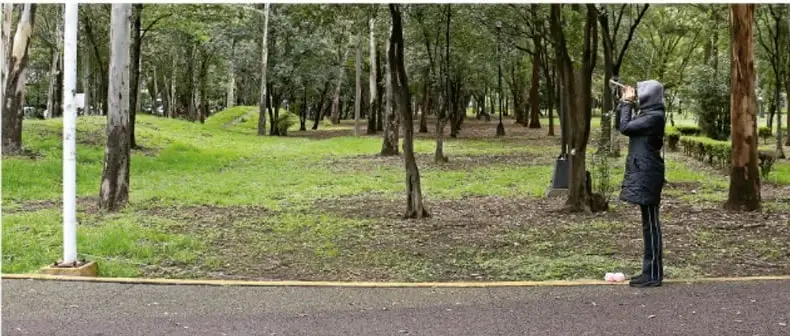 Persona de pie en un parque mirando a través de un tubo de papel hacia un astabandera blanco, con estambre tendido en el piso.