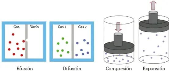 Cuatro esquemas: efusión (moléculas de gas saliendo de un recipiente al vacío), difusión (mezcla de Gas 1 y Gas 2), compresión (pistón bajando comprimiendo las partículas) y expansión (pistón subiendo, las partículas se expanden).