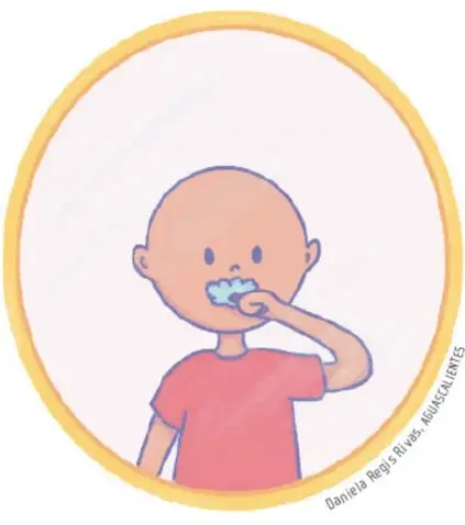 Ilustración circular de un niño cepillándose los dientes, con ilustración de Daniela Regis Ríves.
