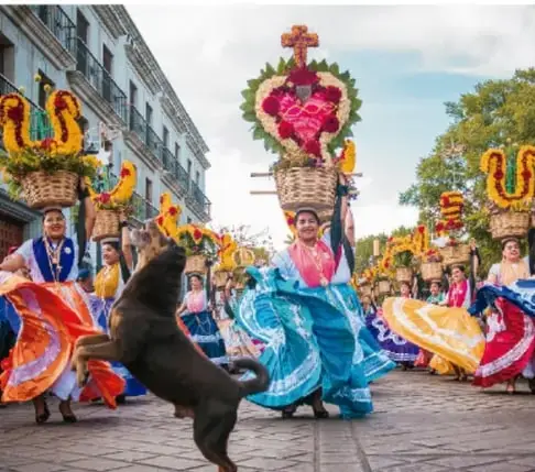Fotografía de una celebración comunitaria: mujeres con trajes tradicionales coloridos (faldas amplias rojas, blancas y azules), portando sobre la cabeza canastas adornadas con flores y figuras ornamentales, en una calle con edificios coloniales; un perro de pelaje oscuro aparece en primer plano.