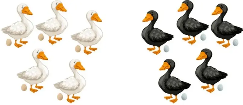 Cinco patos blancos, cada uno con un huevo junto a sus patas, con la leyenda «Ponen 1 huevo cada día».