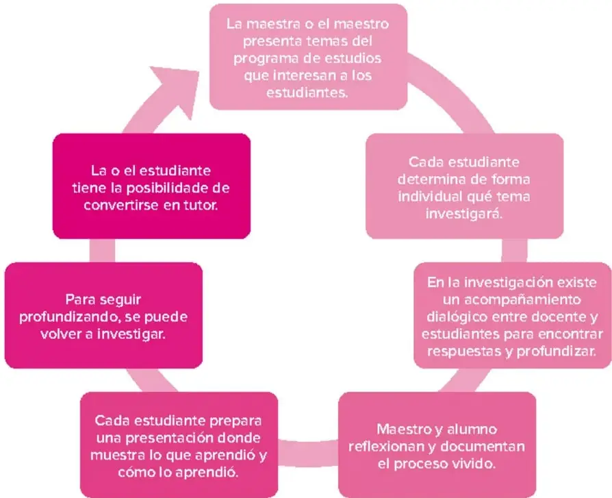 Diagrama circular con siete cajas de color rosa y magenta conectadas por flechas gruesas en ciclo cerrado, que describe los pasos de la tutoría; fuente: elaboración propia con base en Fuerte (2018) y Mapeal (s. f.).