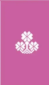 Franja magenta con emblema blanco de flores de la colección.