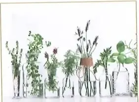 Figura 2 de Ciencias Naturales 10° · 2025