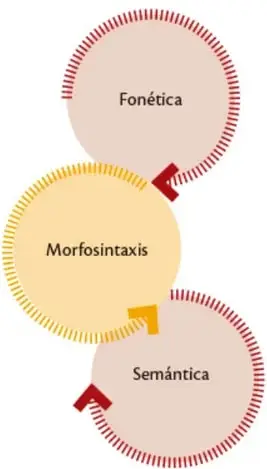 Diagrama de tres círculos encadenados con borde dentado que representan la clasificación de los recursos literarios: Fonética (círculo superior), Morfosintaxis (círculo central) y Semántica (círculo inferior), unidos por flechas que indican la relación secuencial entre ellos.