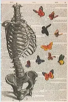Ilustración artística de un cuerpo humano rodeado de mariposas, relacionada con la expresión “mariposas en el estómago”.
