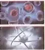 Figura 1 de Ciencias Naturales 8° · Egb 8 Ciencias Naturales 2025 · 2025
