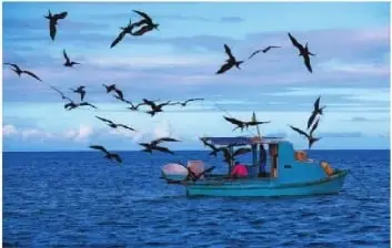 Una embarcación pesquera en el mar, rodeada de aves. La imagen muestra que la pesca está condicionada por el clima.