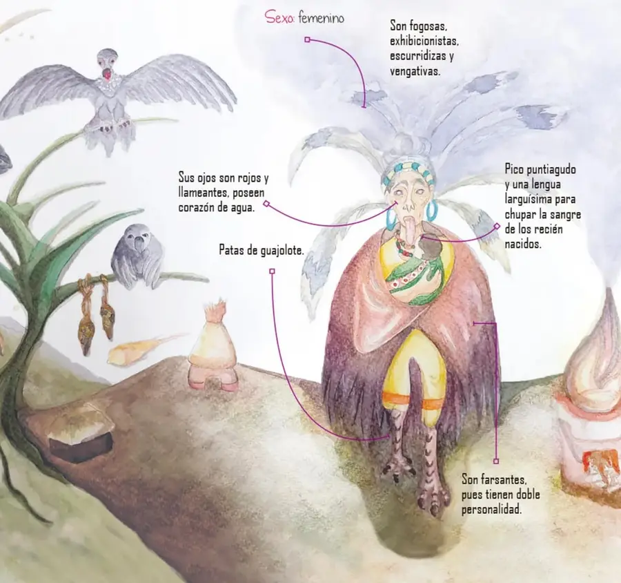 Acuarela de la bruja en su forma original: mujer anciana con capucha de plumas, aretes de turquesa, lengua larga y patas de ave (guajolote); flechas moradas etiquetan sus rasgos (ojos rojos, pico puntiagudo, patas de guajolote). Alrededor: un zopilote o ave de rapiña volando, otro posado en un árbol, y al fondo un paisaje nocturno con una bola de fuego que baja del cielo.