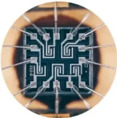 Micrografía de tejido humano con posible malformación celular.