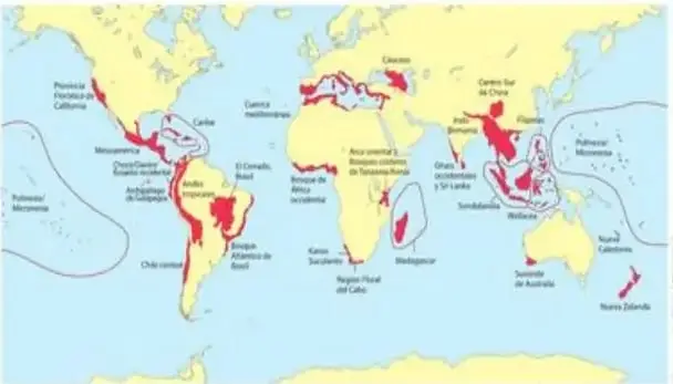 Mapamundi destacando en rojo los 17 países megadiversos.