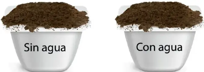 Dos recipientes blancos con tierra, rotulados "Sin agua" y "Con agua".