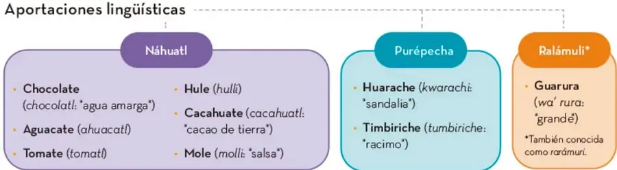 Esquema 'Aportaciones lingüísticas' con tres recuadros de colores (náhuatl morado, purépecha turquesa, ralámuli naranja) que listan palabras del español provenientes de cada lengua.