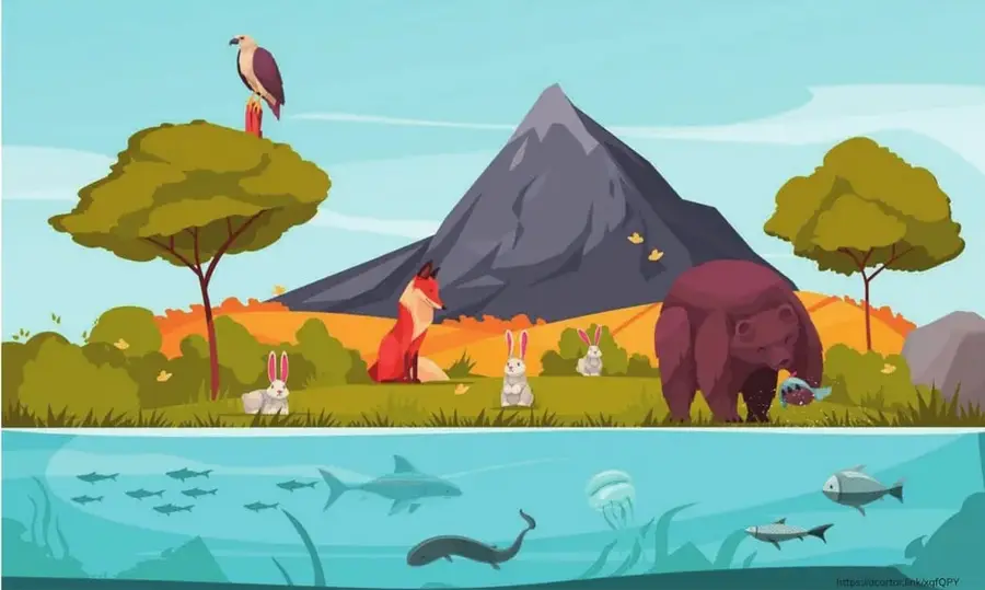 Ilustración de un paisaje con división aire-tierra-agua: aves rapaces, oso, zorro, conejos en pradera y montaña; peces, medusas y tiburones en el agua.