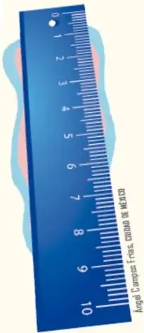 Ilustración de una regla azul graduada en centímetros, del 0 al 10, con marcas milimétricas; símbolo de instrumento de medición de longitud.