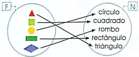 Diagrama que relaciona dos aves con dos alimentos representados por peces.