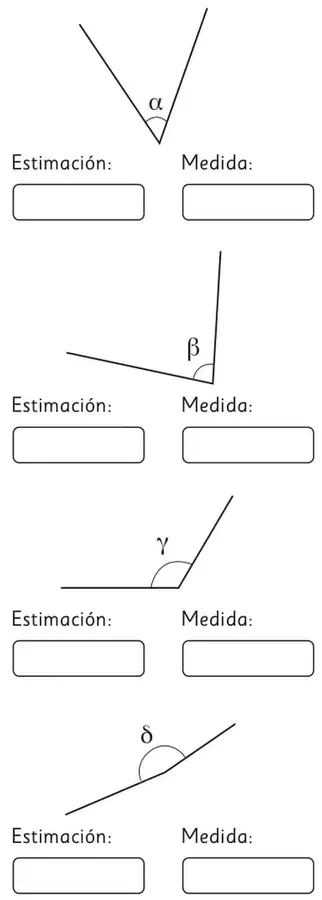Cuatro ángulos rotulados $\alpha$, $\beta$, $\gamma$ y $\delta$ con espacios para estimación y medida.
