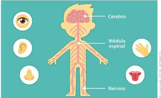 Ilustración de solidaridad hacia una persona con discapacidad visual.