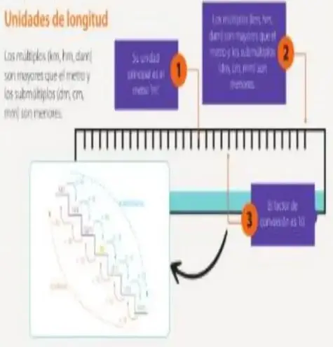 Figura 1 de Matematica 5° · Egb 5 Matematica 2025 · 2025