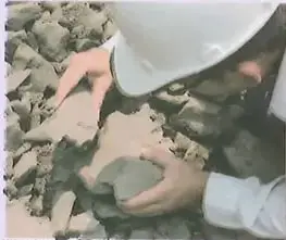 Figura 3 de Ciencias Naturales 10° · 2025