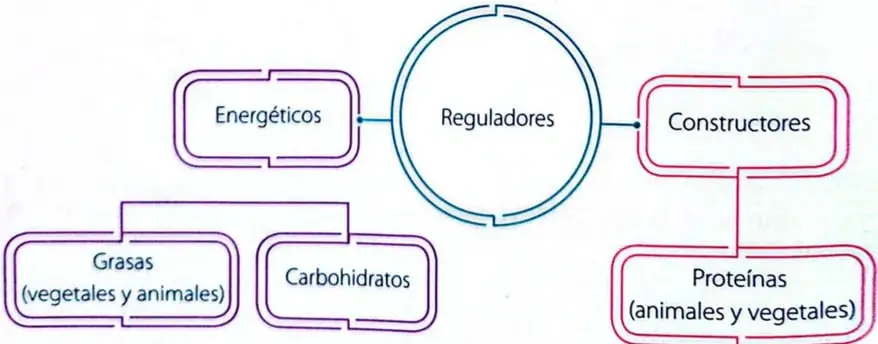Figura 5 de Ciencias Naturales 4° · Egb 4 Ciencias Naturales 2025 · 2025