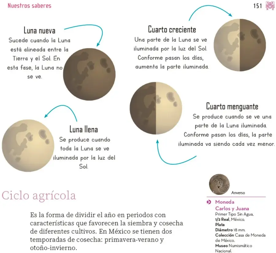Cuatro ilustraciones de la Luna que muestran las fases nueva, cuarto creciente, llena y menguante, conectadas por flechas azules que indican el ciclo.