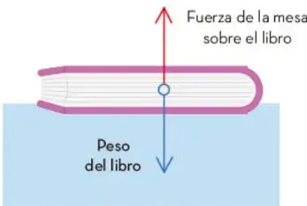Esquema de un libro sobre una mesa con dos flechas: una hacia arriba que representa la fuerza de la mesa sobre el libro y otra hacia abajo que representa el peso del libro.