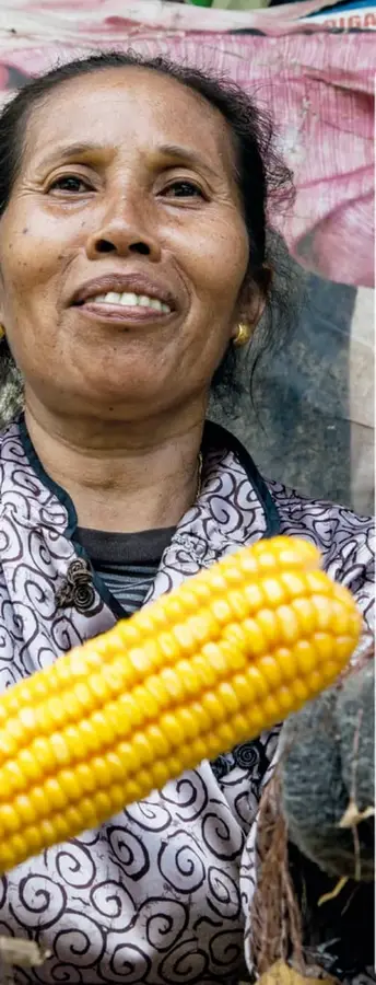 Fotografía de una señora sonriente, de edad avanzada, que sostiene con ambas manos un elote amarillo brillante; viste blusa con espirales y al fondo hay costales de tecido.