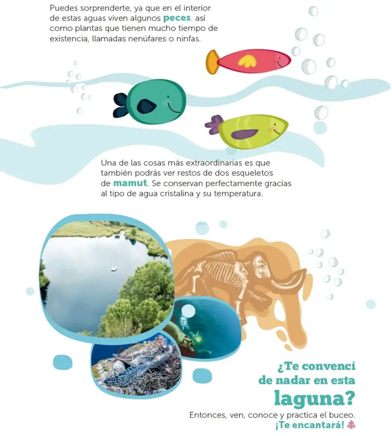 Figura 1 de Múltiples lenguajes. Libro de Educación Primaria Grado 3° Ciclo Escolar 2025 - 2026