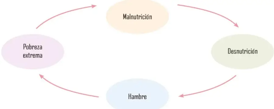Diagrama circular con cuatro elipses de colores (Pobreza extrema, Malnutrición, Desnutrición, Hambre) unidas por flechas rosas que forman un ciclo cerrado.