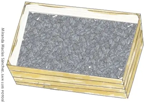 Ilustración de una caja de madera con malla mosquitera en el interior y piedras grises en el fondo.