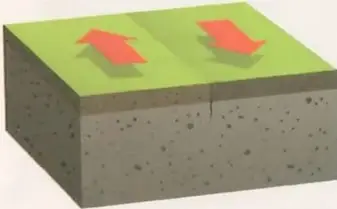 Figura 3 de Ciencias Naturales 10° · 2025