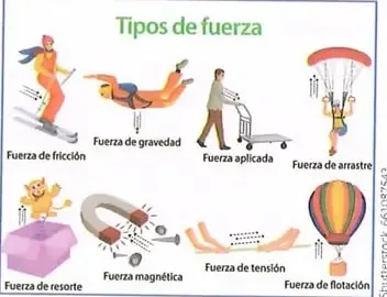 Figura 4 de Ciencias Naturales 8° · Egb 8 Ciencias Naturales 2025 · 2025