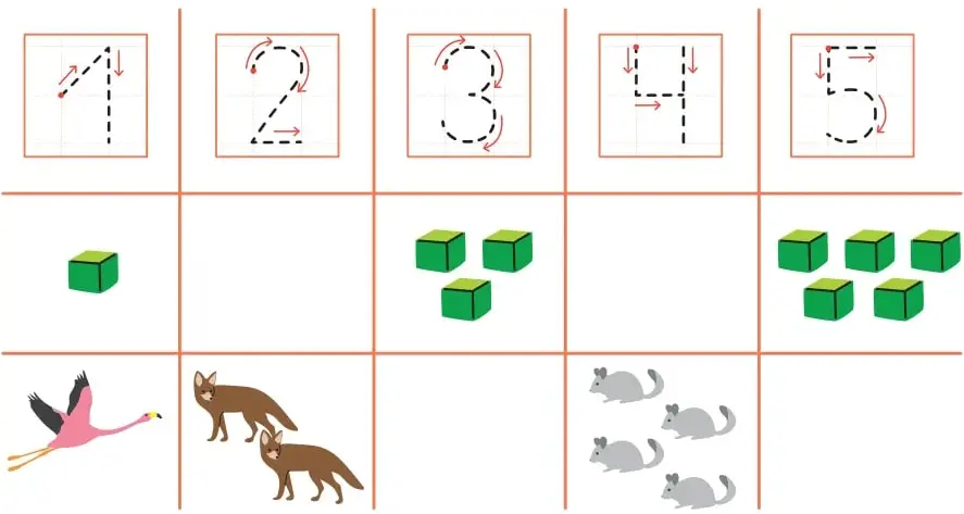 Cuadrícula con los números punteados 1 a 5 (con flechas de trazado), una fila de cubos verdes (1, 3 y 5) y una fila de animales (1 flamenco, 2 zorros y 4 ratones).